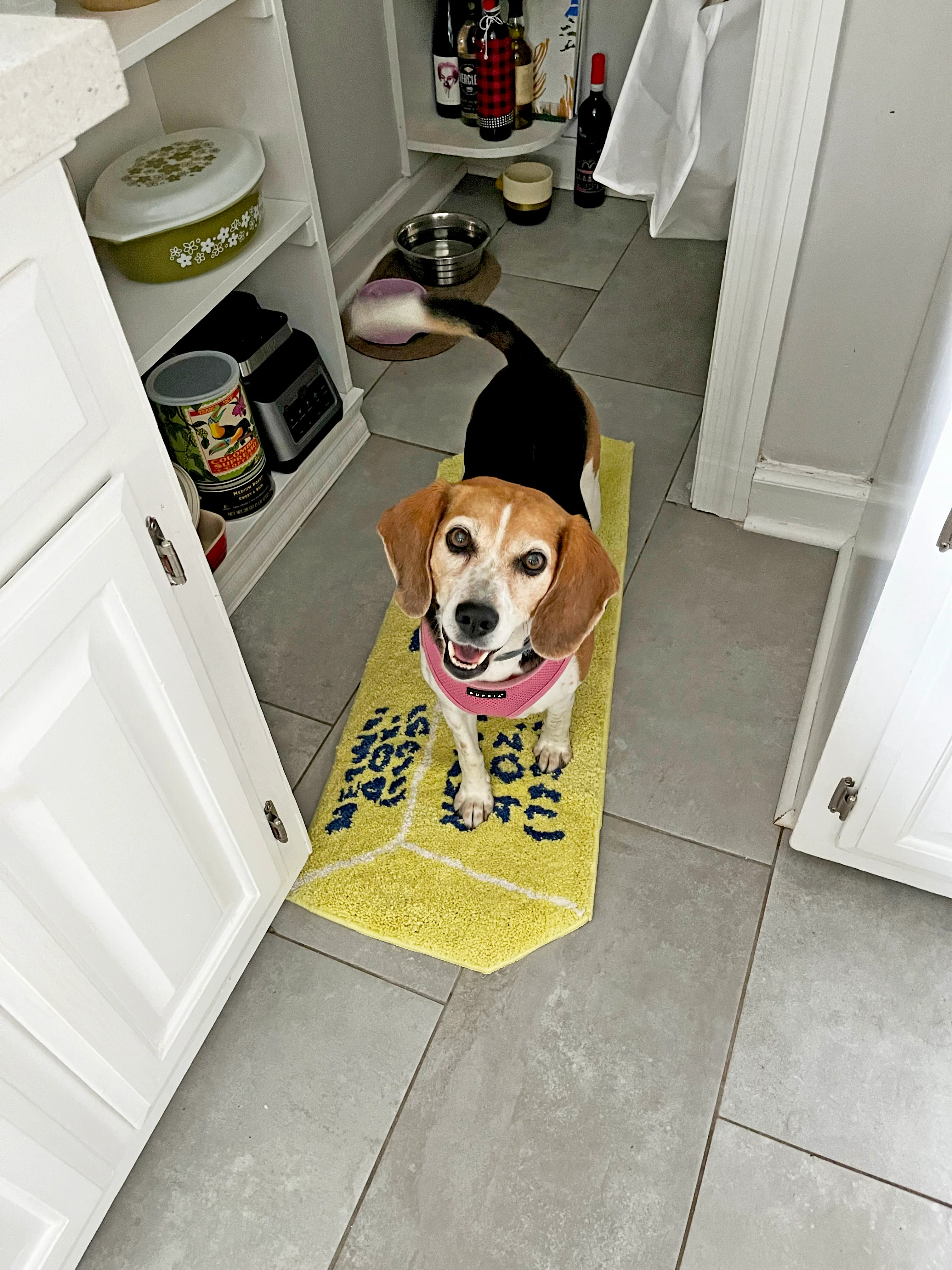 Butter Rug - Image 6