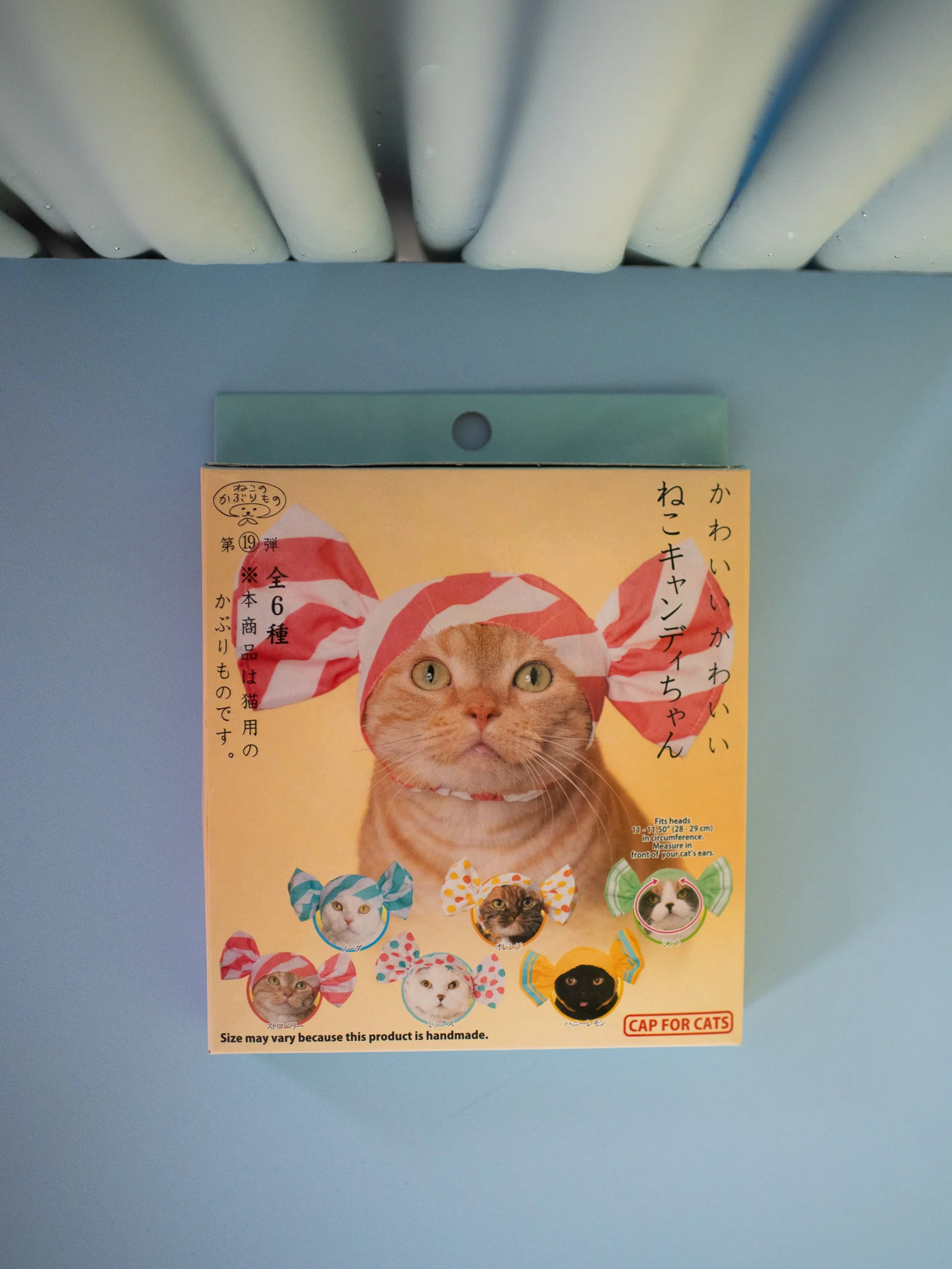 Cat Cap Blind Box- Candy - Image 3