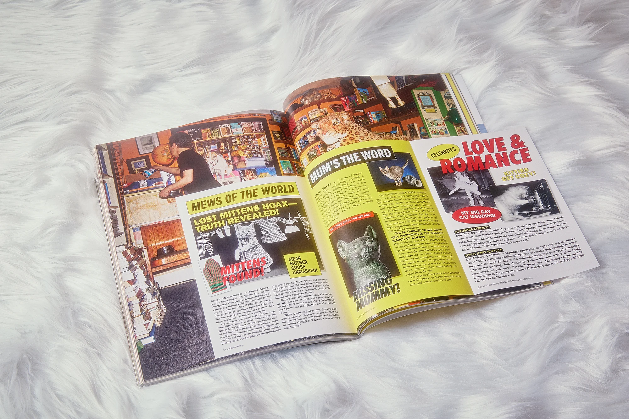 Catnip Magazine Volume 2 - Image 5