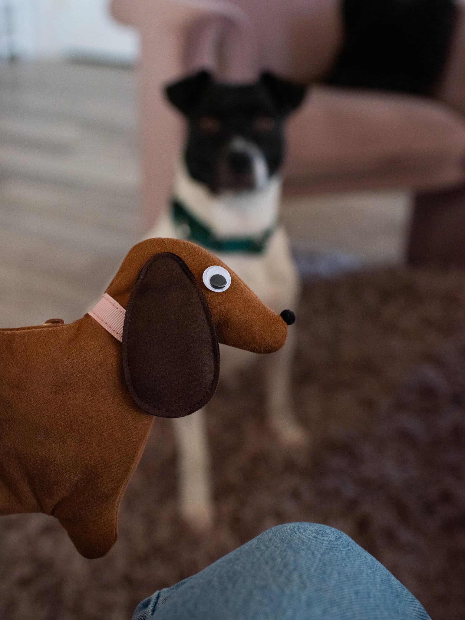 Dachshund Smell Proof Bag - Image 9