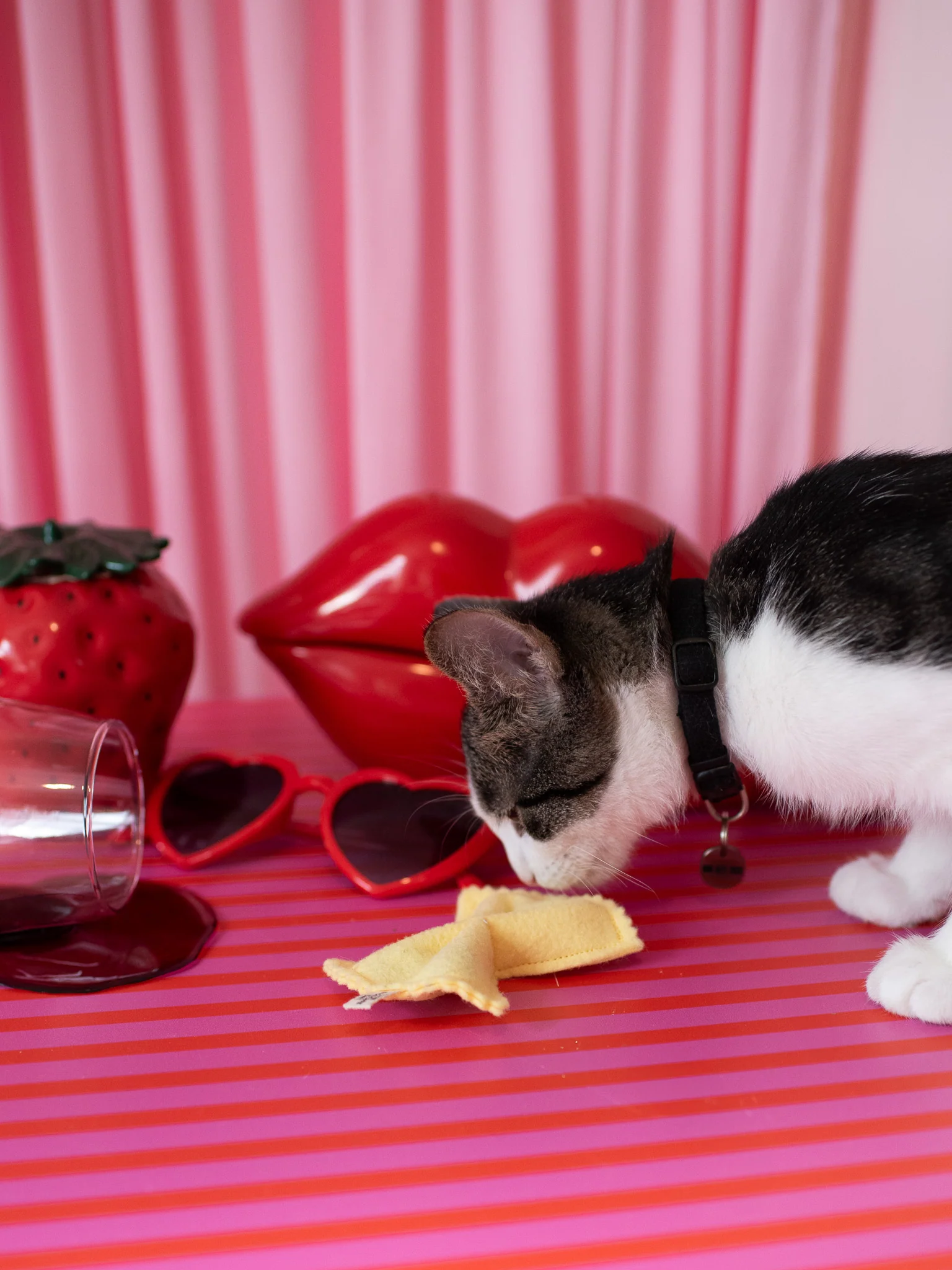 Farfalle Catnip Toy - Image 3