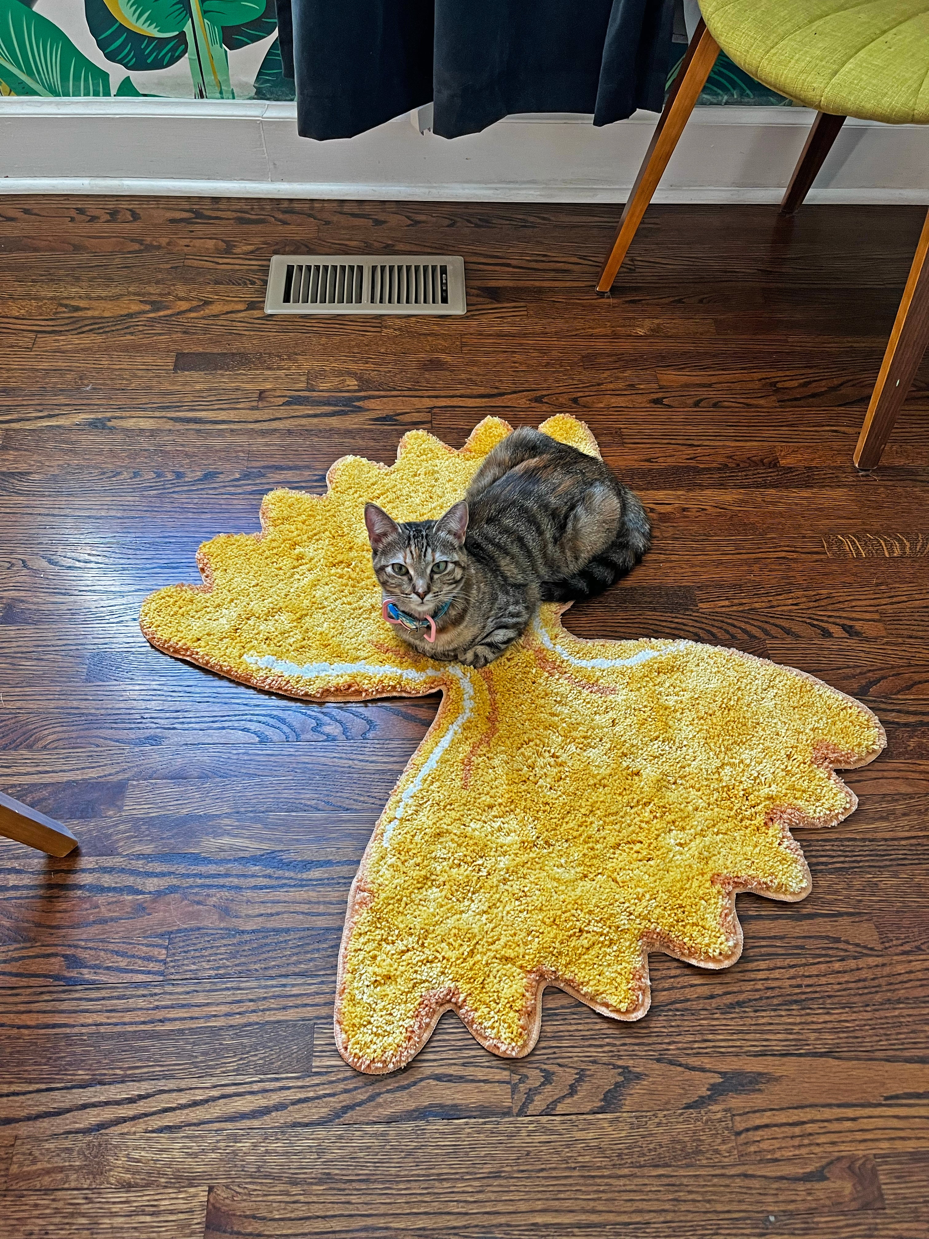 Farfalle Rug - Image 4