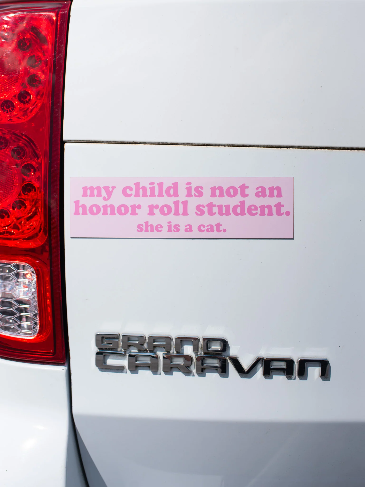 Honor Roll Cat Bumper Magnet- Pink - Image 5