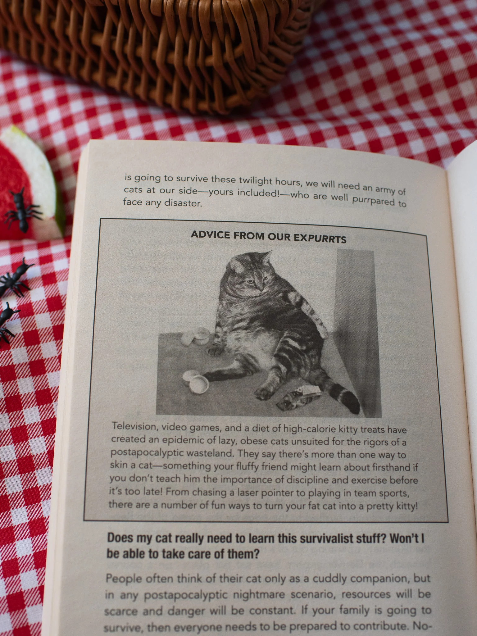 How to Talk to Your Cat About Gun Safety Book - Image 6