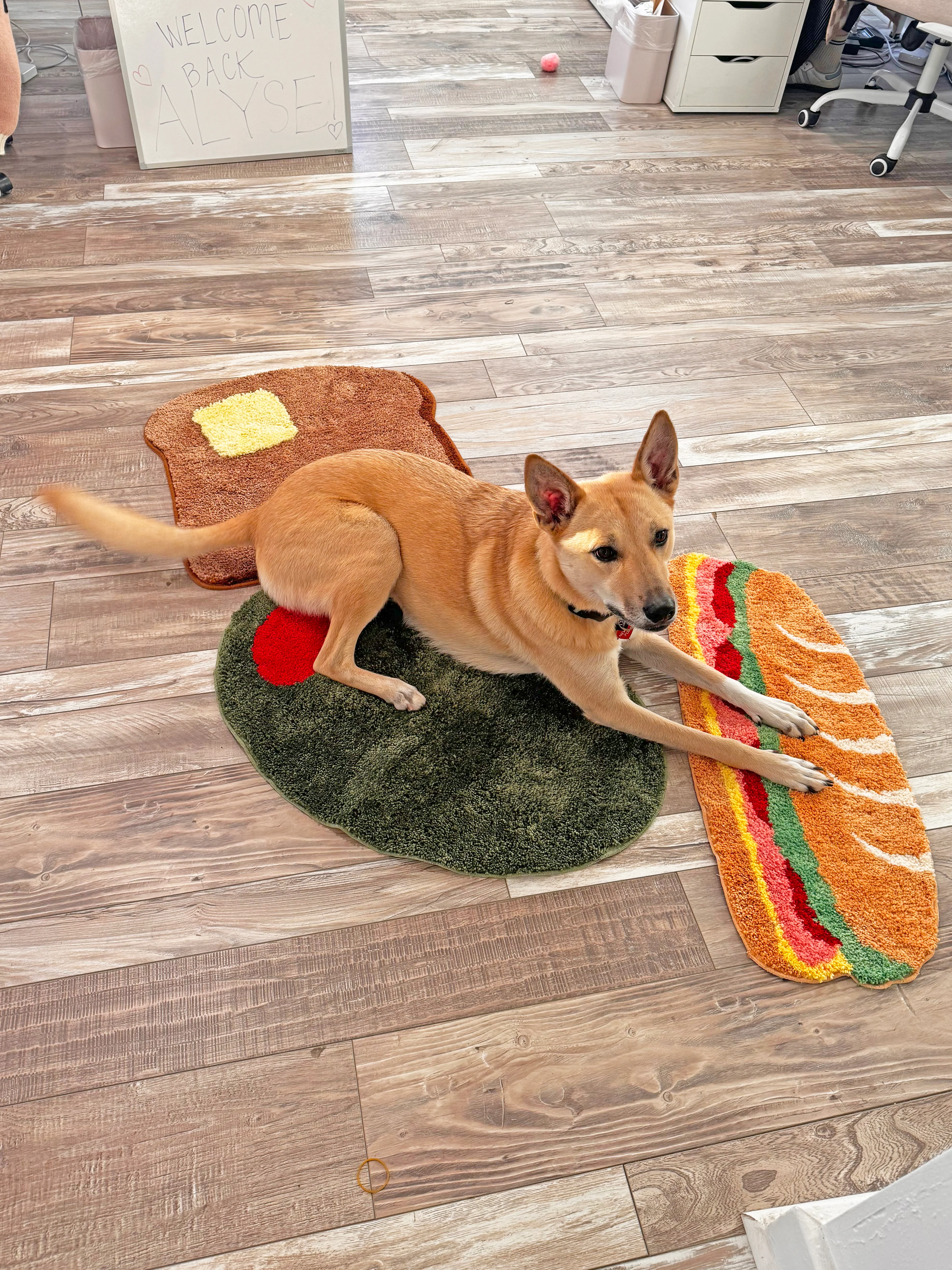 Sandwich Rug - Image 6