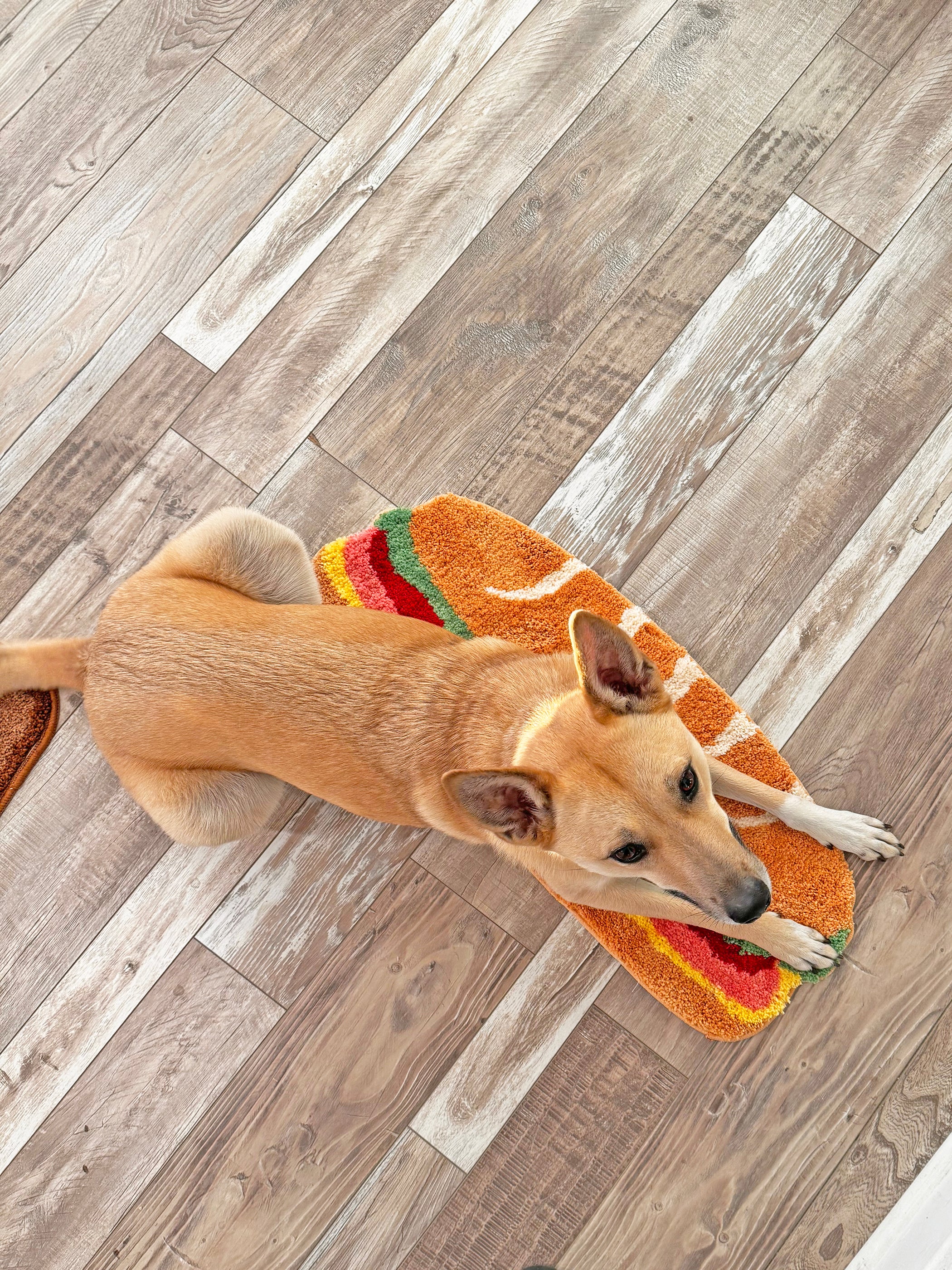 Sandwich Rug - Image 7